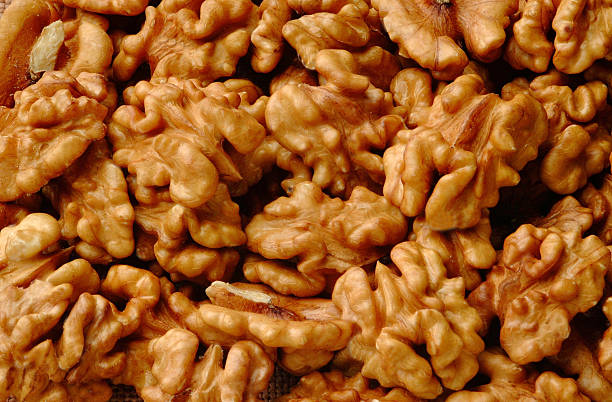 Nuts stock photo