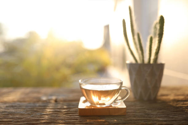 istock Tea in a glass cup and cactus plant on rustic wooden table under sunlight 1470758916