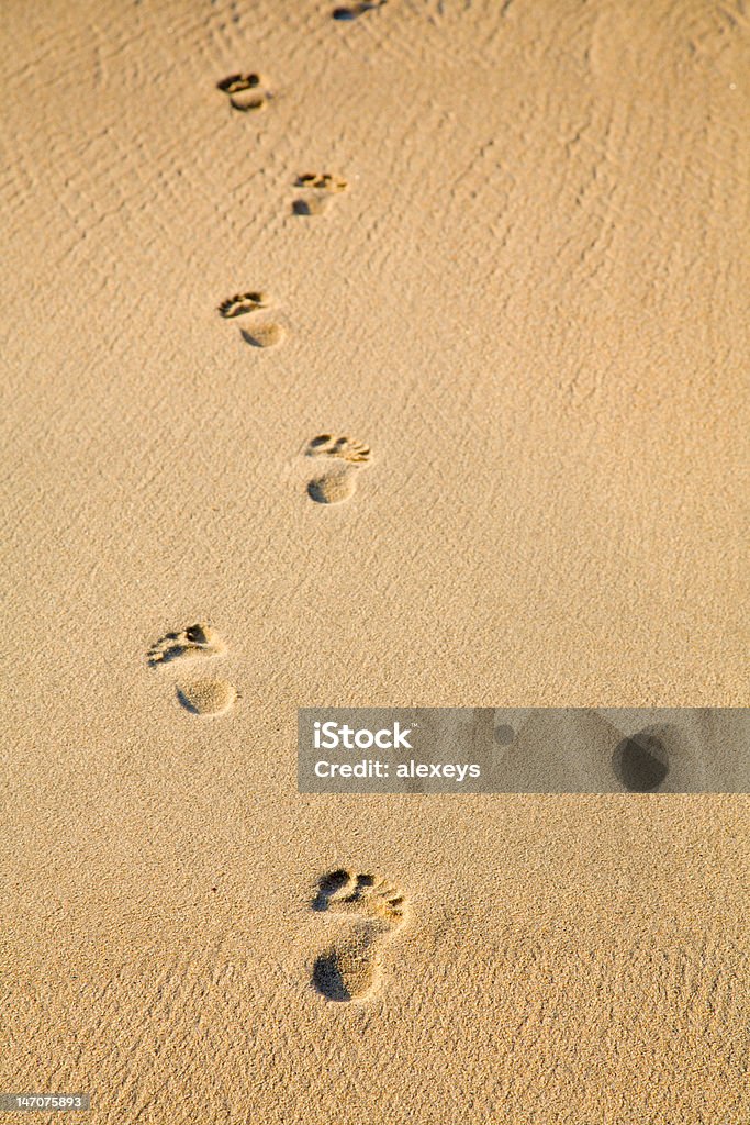 Gone swimming Image of human footprints in the sand Barefoot Stock Photo