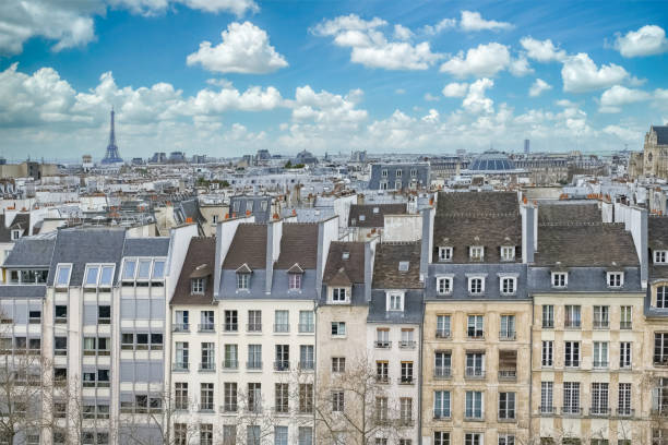 paris, typical roofs with the eiffel tower - パリ・サンジェルマン 個照片及圖片檔