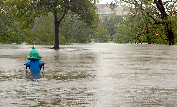 istock Fire Hydrant and Flooding in the Street 147076034