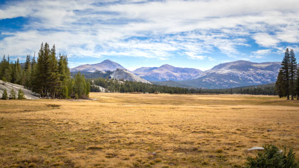 istock Tuolumne Meadows at yosemite national park 1470761251