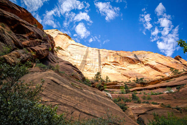istock Cliff in Zion national park 1470762815