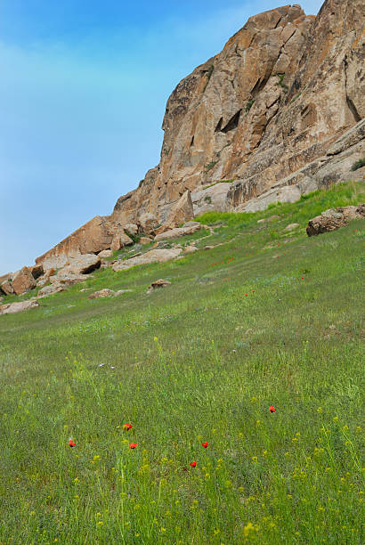 meadow and cliff stock photo