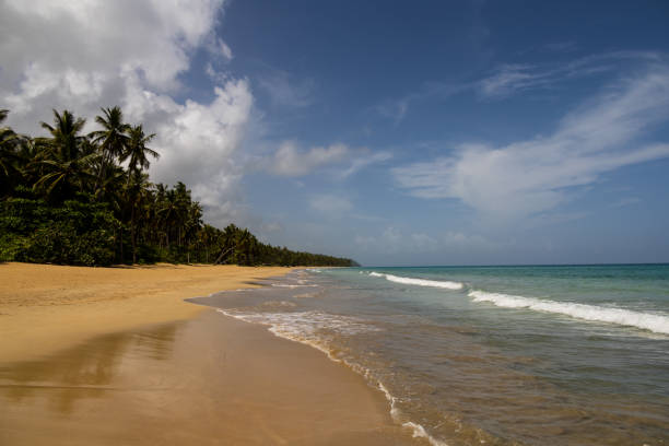 istock Playa Coson, Dominican Republic 1470766425