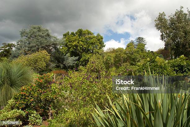 The Garden Stock Photo - Download Image Now - Cloud - Sky, Flower, Formal Garden