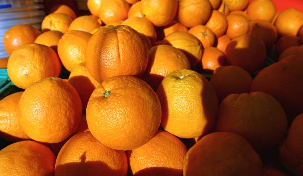 istock Navel oranges in a shelf of grocery store. Full frame 1470767512
