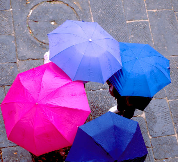Aerial view of people using colorful umbrellas in rain