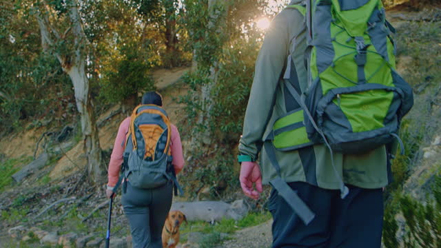 Walking couple, backpack and sunset hiking in forest, nature countryside or mountain woods on workout trees path. Behind, fitness or man and hiker woman in retirement sunrise bonding or environment