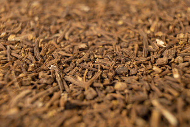 Valerian herb root filling the frame. Macro photo. Close up. Shallow depth of field. Valeriana officinalis. used in herbal medicine as a tranquillizer and to treat insomnia, anxiety, hypertension, pain relief. raíz de hierba de valeriana llenando el marco. foto macro. cerrar. poca profundidad de campo. valeriana officinalis. se utiliza en la medicina herbal como tranquilizante y para tratar el insomnio, la ansiedad, la hipertensión, el alivio del dolor.