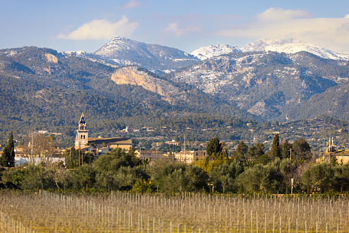 Beautiful view of the snowy mountains behind the small village Santa Maria del camí with vine plants in the foreground. Part of a series.