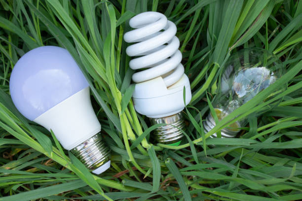 energiesparlampe und grünes gras auf dem rasen nahaufnahme - compact fluorescent lightbulb isolated on white light bulb close up stock-fotos und bilder