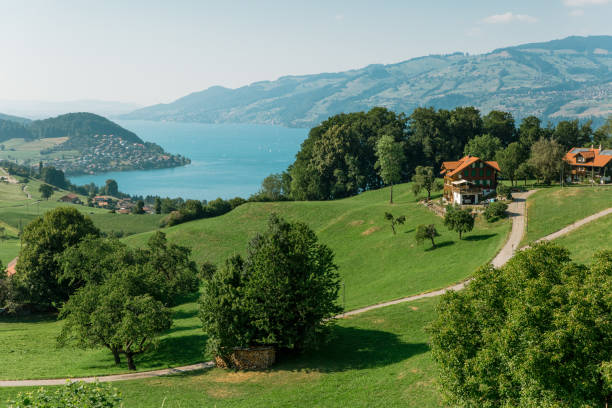 istock mountains green meadows switzerland reserve ecology nature 1470776719