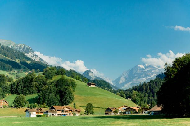 istock mountains green meadows switzerland reserve ecology nature 1470776724