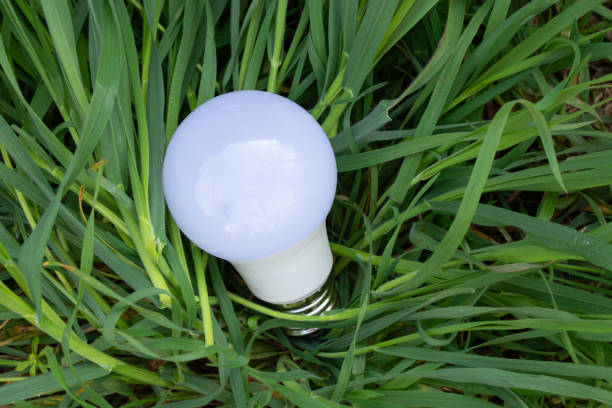 energiesparlampe und grünes gras auf dem rasen nahaufnahme - compact fluorescent lightbulb isolated on white light bulb close up stock-fotos und bilder