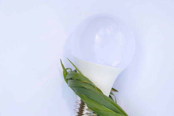 energiesparlampe und grünes gras auf dem rasen nahaufnahme - compact fluorescent lightbulb isolated on white light bulb close up stock-fotos und bilder