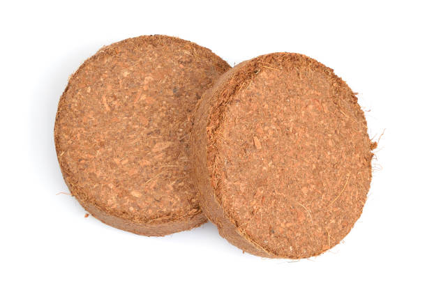 istock Coconut Coir substrate. Pressed briquette Isolated on White Background 1470777622