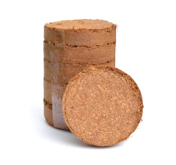 istock Coconut Coir substrate. Pressed briquette Isolated on White Background 1470777870