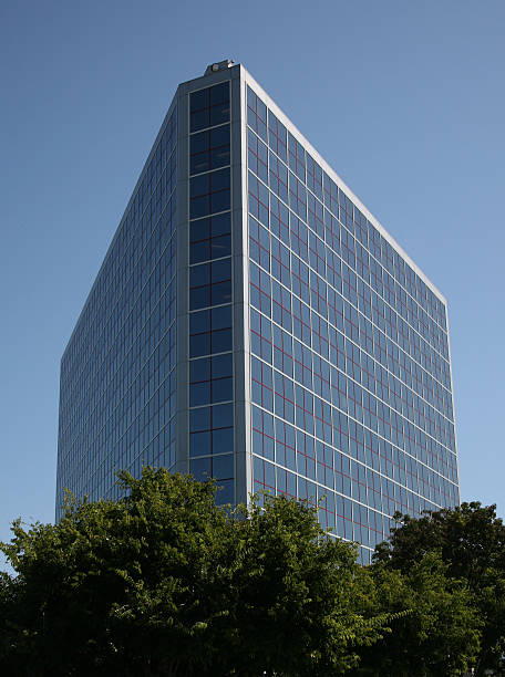 istock Office Building, Blue Sky, Nest of Trees 147078030