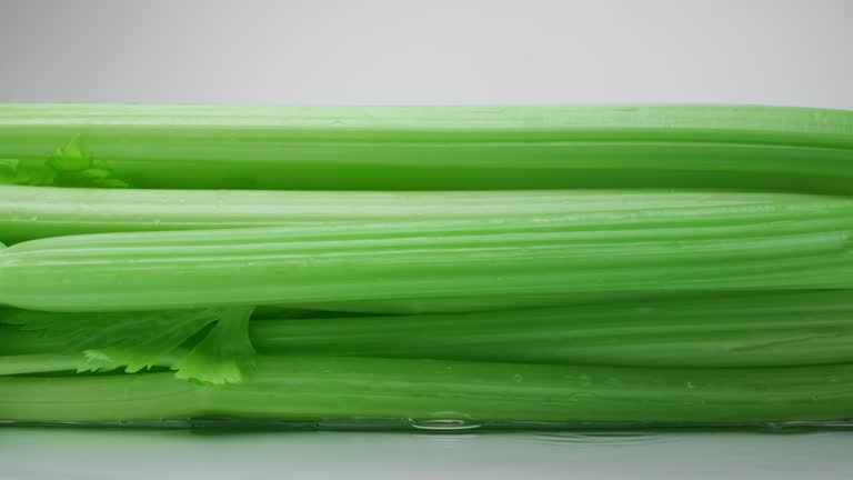 Close-up of fresh green wet celery stalks falls on water surface