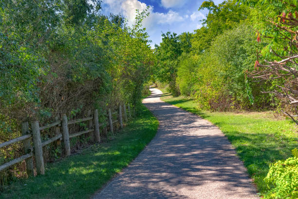 istock Long road along the park 1470781938