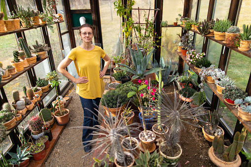 Mature woman taking care of her potted cactuses in greenhouse in backyard with love. Sunlight comes through the window. She wears casual clothes and she looks happy with her hobby.