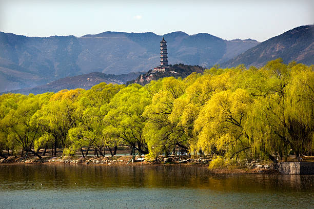 istock Yu Feng Pagoda Summer Palace Willows Beijing China 147078483