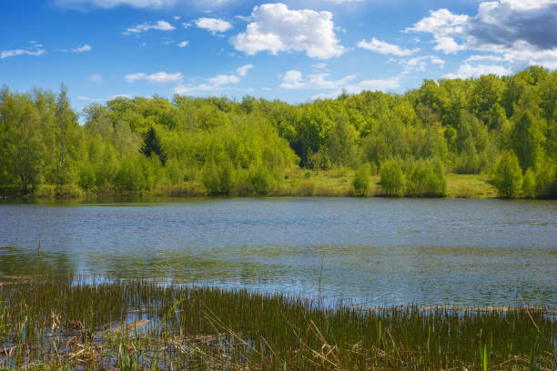 istock scenery with countryside lake 1470786424