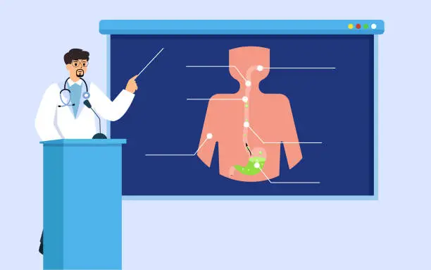 Vector illustration of doctor explain human gerd stomach stone anatomy vector