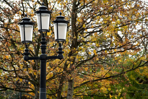 Typical Dublin Lamp Post against a background of Autumn Leaves
