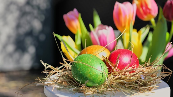 Easter colorful eggs rotate in nest in hey outdoor in sunny warming day, tulips flower background. Happy Easter holiday. Christian celebration, family traditions. Selective focus