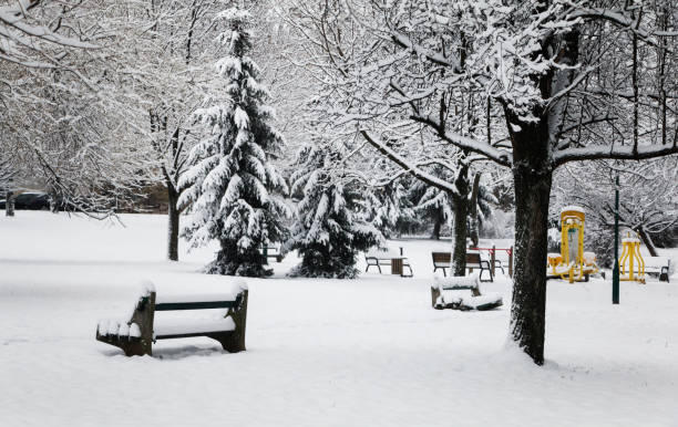 istock Empty public park in snowy winter day. 1470792609