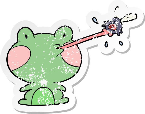 illustrations, cliparts, dessins animés et icônes de autocollant en détresse d’une grenouille de dessin animé attrapant une mouche - frog animal tongue animal eating