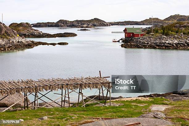 Arcipelago Delle Lofoten - Fotografie stock e altre immagini di Composizione orizzontale - Composizione orizzontale, Merluzzo, Norvegia