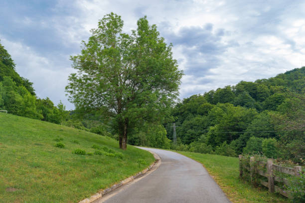 istock Field and buildings of Roncesvalles 1470794562