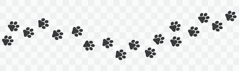 Paw vector foot trail print on transparent background. Cat or Dog Foot trail, path pattern animal tracks