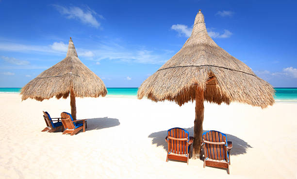 istock Palapa thatch umbrellas on the beach 147079848