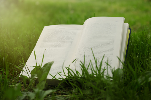 Open book on green grass in garden