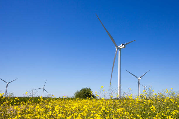 istock Wind turbines in a countryside 1470800075