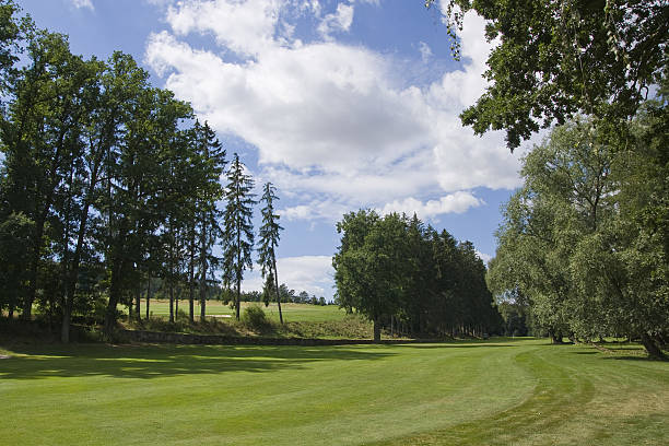istock fairway of a beautiful golf course 147080048