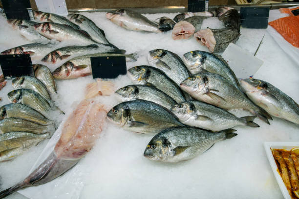 istock Various varieties of chilled fish in ice include Dorada. 1470800945