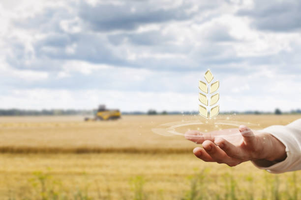 The farmer hand shows the harvest icon on the background of the field.