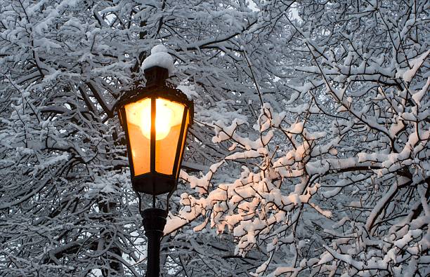 istock lamp in park after the snowfall 147080123