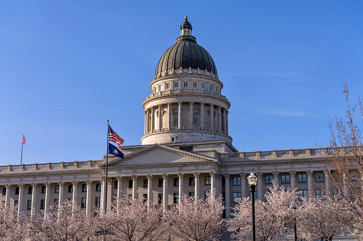 A sunny Spring evening view of Utah State Capitol Building, with national and state flags flying at front, surrounded by blooming cherry trees. Salt Lake City, Utah, USA.
