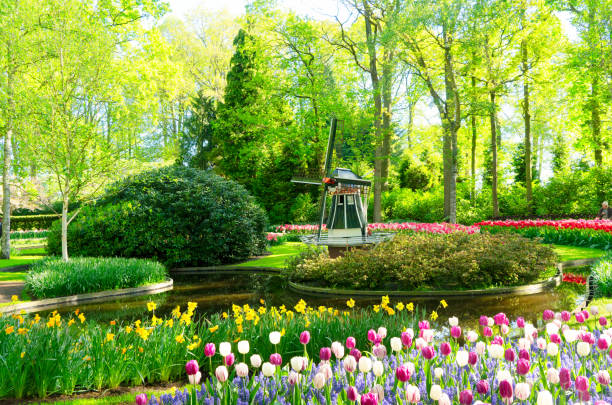Blooming variety of spring tulips and bluebells flowers with trees in background