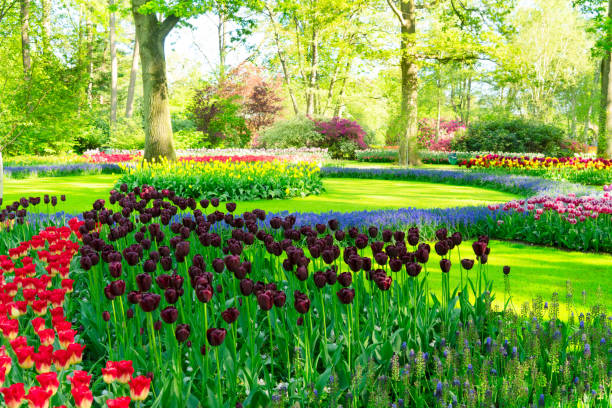 istock fresh lawn with flowers 1470802163