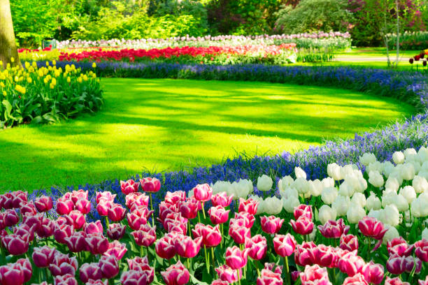 istock fresh lawn with flowers 1470802179