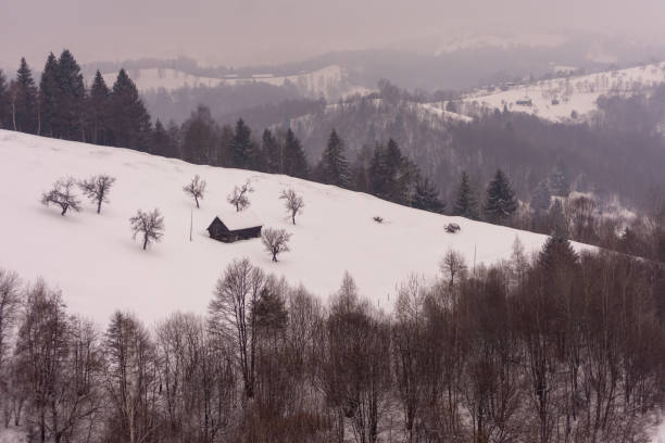 Hay house on the mountains in Rucar-Bran pass from Carpathian Mountains -Romania