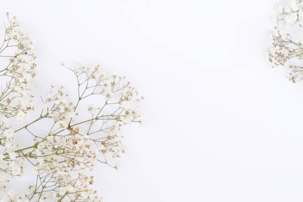 istock wedding or mothers day background 1470803109
