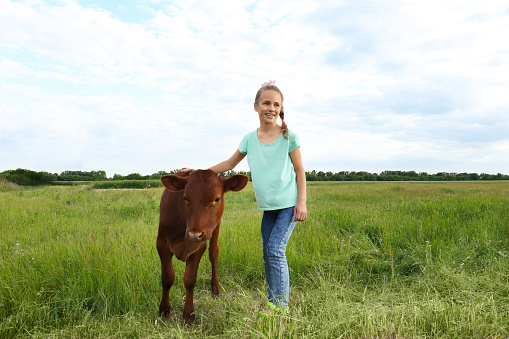 Cute little girl with calf in green field